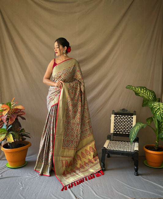 Gold Zari And Meenakari Patola Sarees